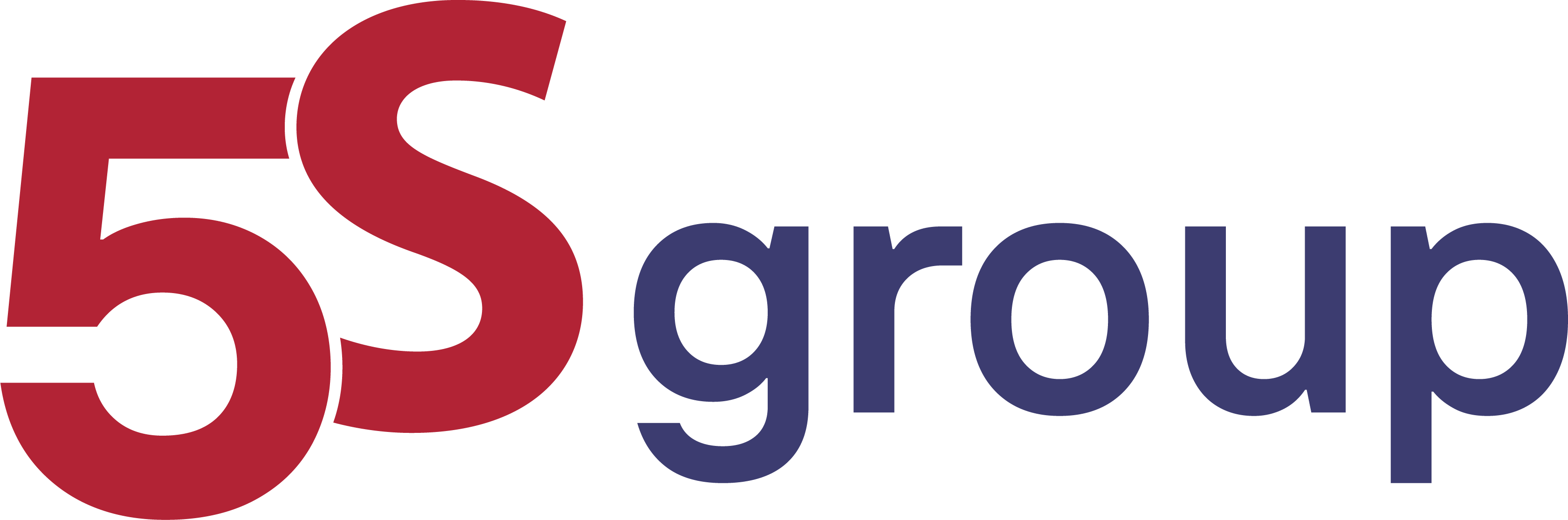 5S Group – Holding e Soluções Internacionais